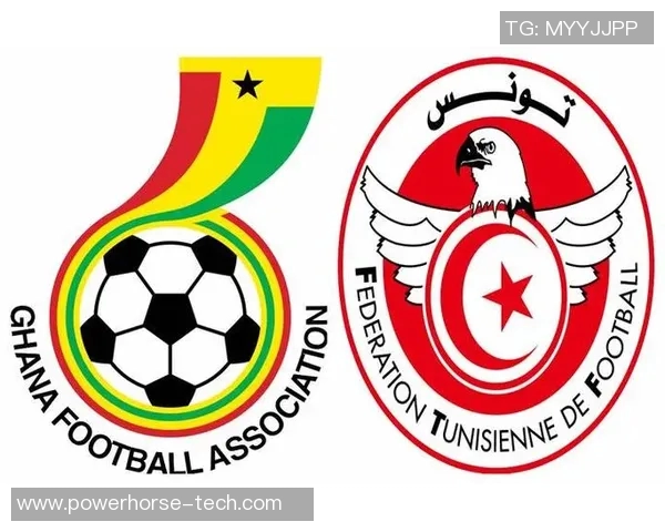 2019年非洲杯加纳与突尼斯激战回顾与精彩瞬间分析