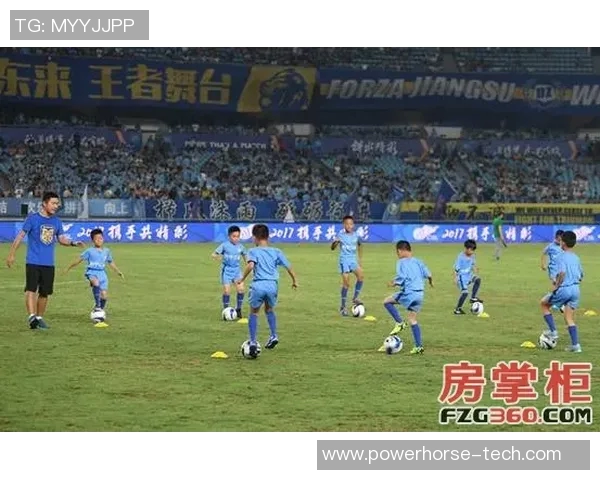 S多利与沙佩的精彩对决揭示足球战术与团队协作的完美结合 S多利与沙佩的精彩对决揭示足球战术与团队协作的完美结合