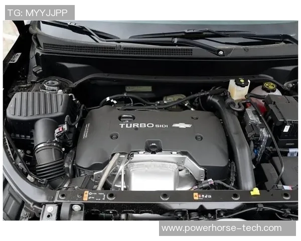 恩特拉与特纳纳激战正酣谁能在这场对决中笑到最后