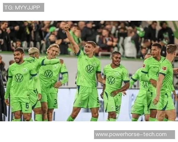 沃尔夫斯堡客场不败，横扫慕尼黑1860队——绿茵场上的王者之姿