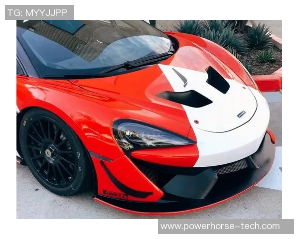 迈凯轮车队在新赛季的挑战与机遇解析与展望