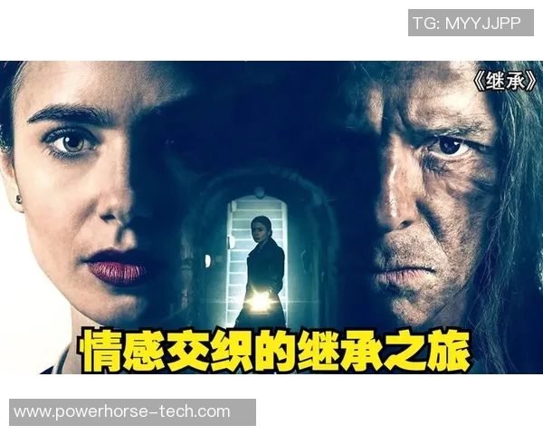 梅扬的音乐之旅：探索旋律背后的故事与情感交织