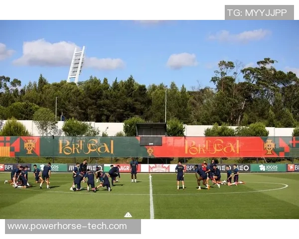 葡萄牙与新西南的激烈对决展现足球魅力与团队精神