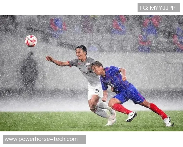 新泻天鹅与水壶蜀葵的精彩对决揭示了足球战术与团队合作的重要性